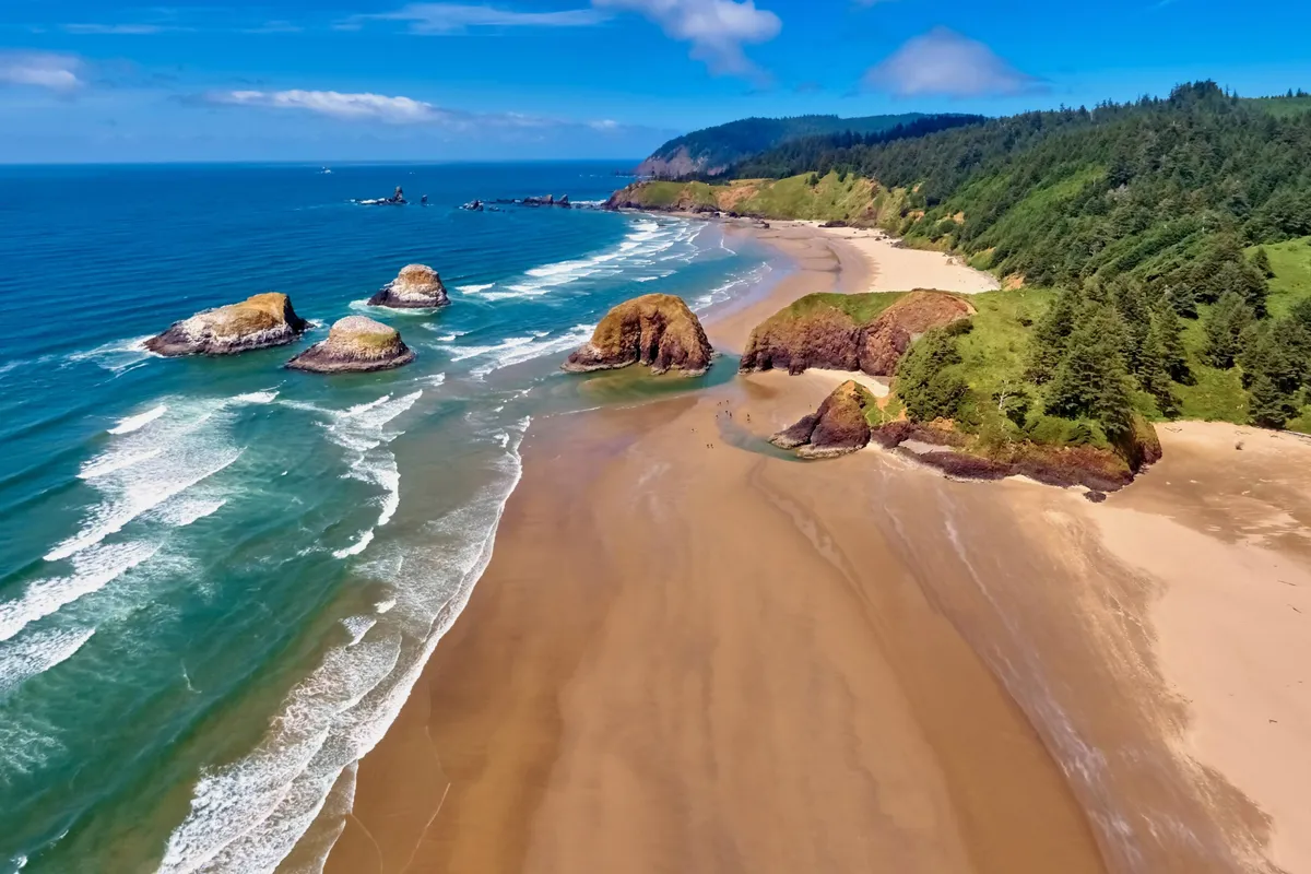 A tranquil view of the beach featuring dramatic rock formations, gentle waves lapping at the sand, and a lush forest backdrop. The scene captures the coastal environment at a quiet moment, ideal for activities like tide pool exploration, beachcombing, and wildlife sightings.
